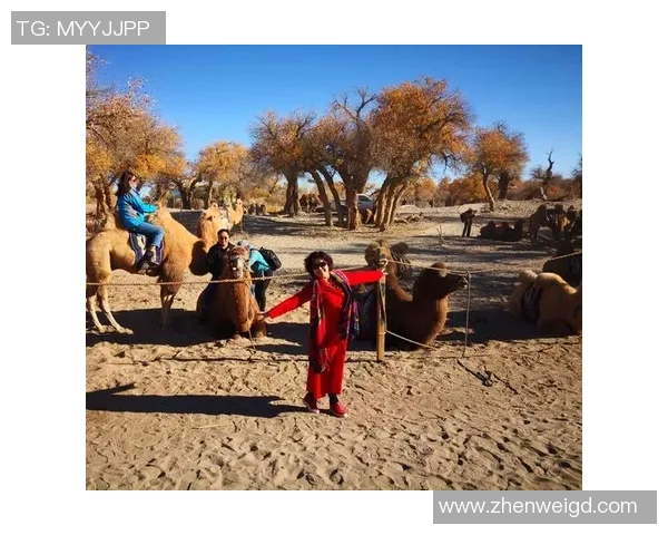 手办球星足球热潮席卷全球 追逐梦想与收藏的完美结合